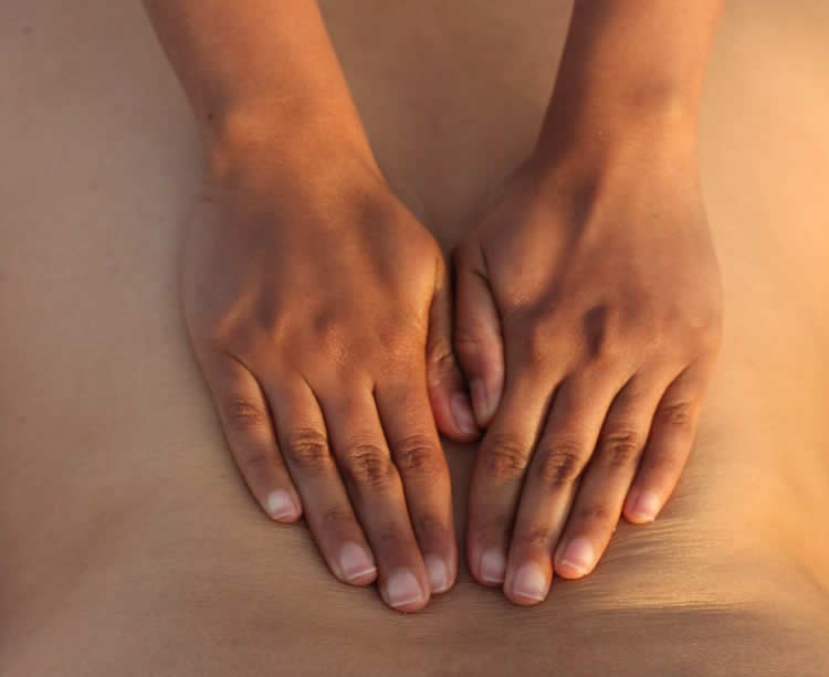 Home holistic body